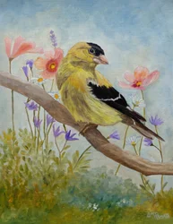 Goldfinch Among Wildflowers