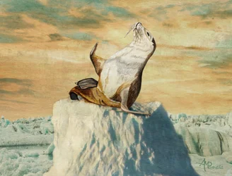 Greetings From the Arctic