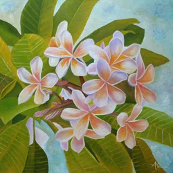 Soft Plumeria Blooms