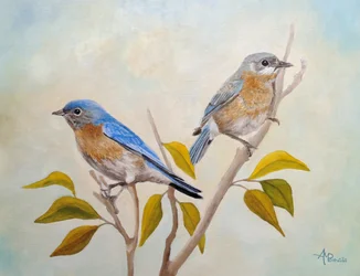 Two Bluebirds Perched