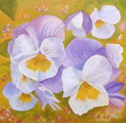 Vibrant Pansy Garden