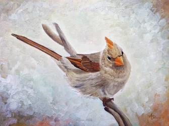 Watchful Female Cardinal