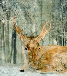 Winter Forest Deer