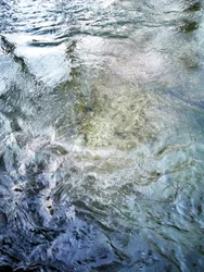 Clear Water Flow