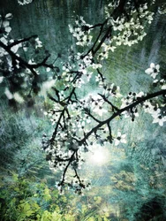 Ethereal Forest Bloom