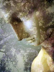 Ethereal Forest Profile