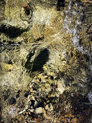 Golden River Flow