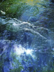 Sunlit Rushing Stream