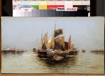 Sailing Boats