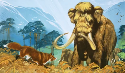 Fox Attacking Mammoth