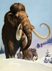 Mammoths from the Ice Age