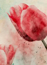 Vibrant Watercolor Tulips