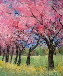 Cherry Blossom in the Meadow, 2022