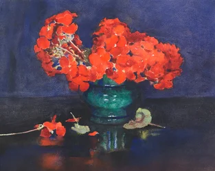 Geraniums
