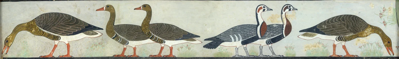 Copy of wall painting from Mastaba of Itet, Medum IV, 93-94 geese, 20th century