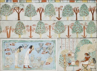 Copy of wall painting from private tomb 63 of Sebkhotpe, Thebes I, 1, 125-128