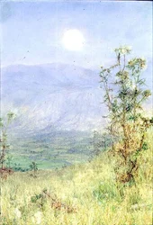 The Idler