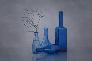 Blue Bottles and Branches