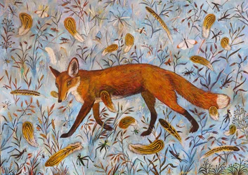 Blue fox