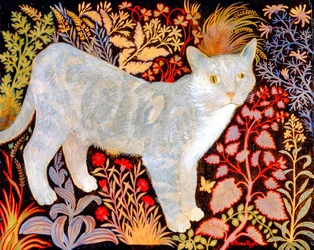 Silver Tabby