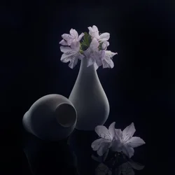 Moody Flowers and Vases