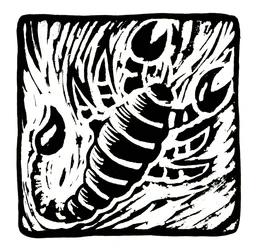 Horoscope (Scorpio)