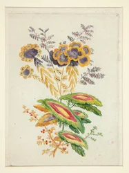 Fantastic Flowers, from New Suite of Notebooks of Ideal Flowers for the Use of Designers and Painters