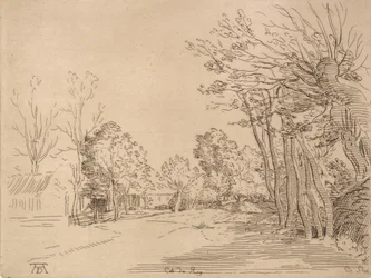 Landscape after Durer