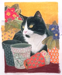 Bhajii and Flowerpots