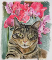 Cat with Sweet Peas