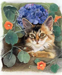 Sootsy with Hydrangea