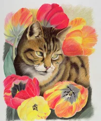 Stripy and Tulip