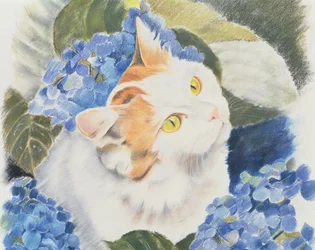 Turkish Van
