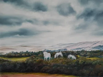 Serene Moorland Ponies
