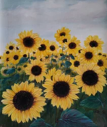 Vibrant Sunflower Field