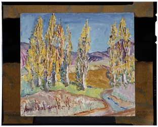 Poplars