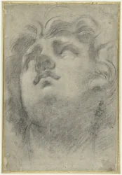 Head of a Triton Looking Up
