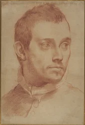Portrait of a Young Man