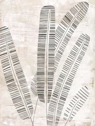 Abstract Botanical Lines