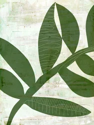 Abstract Green Leaves