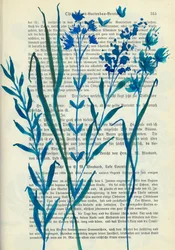 Blue Flowers Old Text