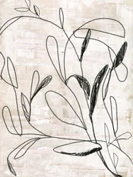 Botanical Line Drawing