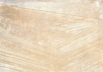 Soft Beige Strokes