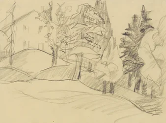 House in the Forest