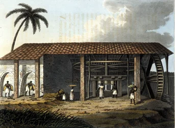 Brazil, sugar factory - in The Old and Modern Costume, 1819-1820 by Dr. Jules Ferrario, ed Milan