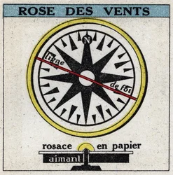 Earth magnetism: wind rose. Anonymous illustration of 1925. Private collection.