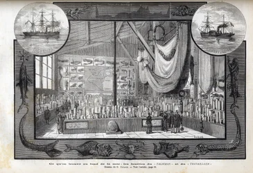 Exhibition at the Museum of Natural History of Paris of the collections formed during the cruises - Scientific expeditions of the Worker and the Talisman during the years 1880