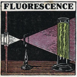 Fluorescence: evidence of the fluorescence of the bodies. Anonymous illustration from 1925. Private collection.