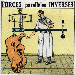 Forces: Reverse Parallel Forces. A Butcher Weighing a Meat Carcass with a Roman Scale. Anonymous Illustration from 1925. Private Collection