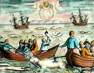 Polar Bear Hunting Scene in Canada. 18th century engraving. Private Collection